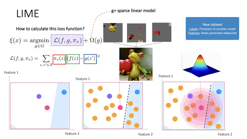 Local Interpretable Model-Agnostic Explanations