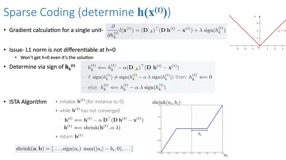 Optimizations in Sparse Coding