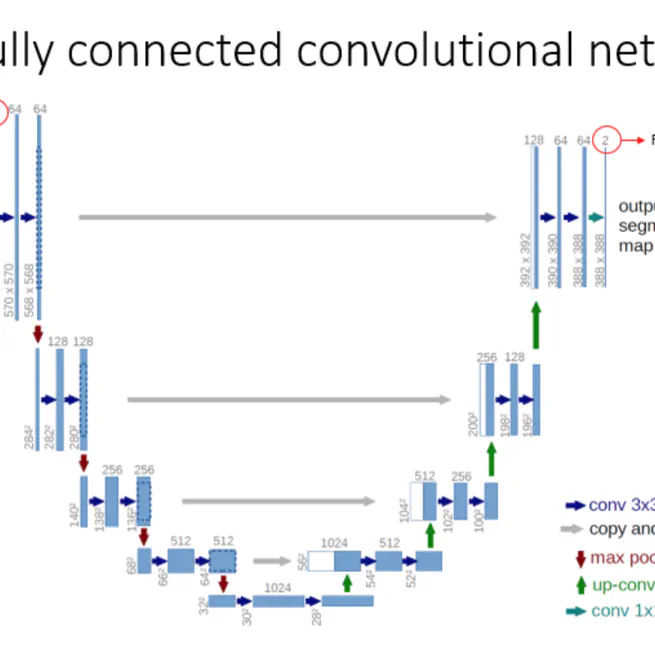 U-Net: Convolutional Networks for Biomedical Image Segmentation