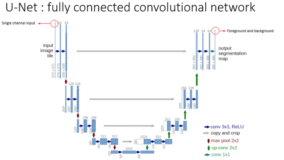 U-Net: Convolutional Networks for Biomedical Image Segmentation